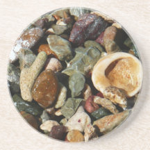 Snäckor, Sten och korallatfotografi