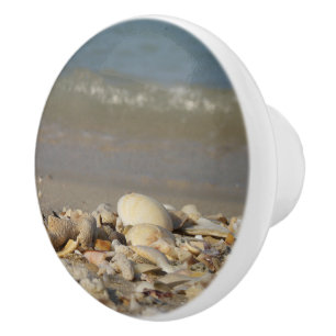 snäckor, strand, vatten, sand, hav, sjö, foto, knopp