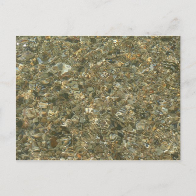 Snäckor under Rippling Vatten Vykort (Framsida)
