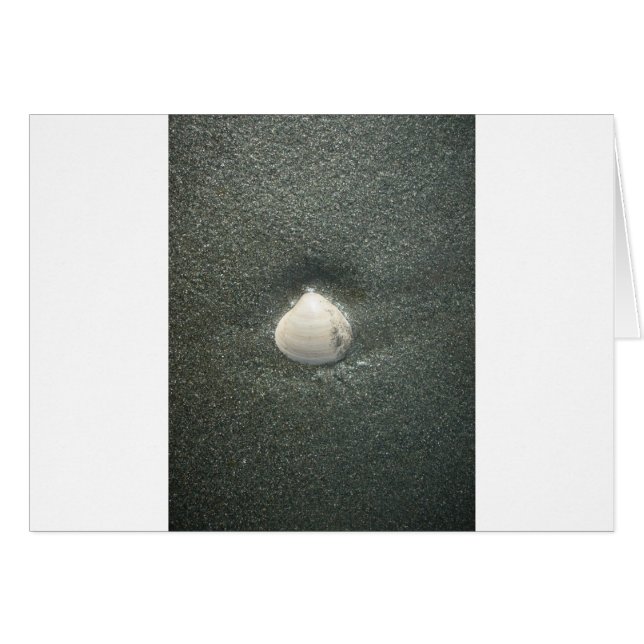 Snäckor vid havskusten Hakuna Matata.JPG Hälsningskort (Framsidan Horizontal)