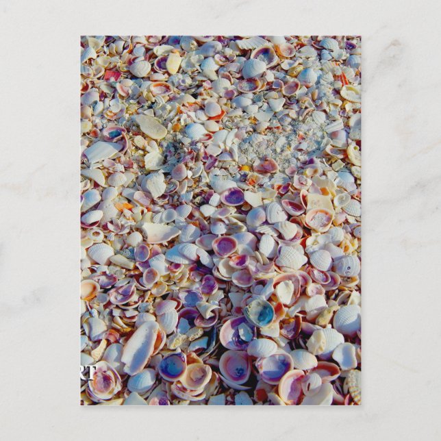 Snäckor Vykort (Framsida)