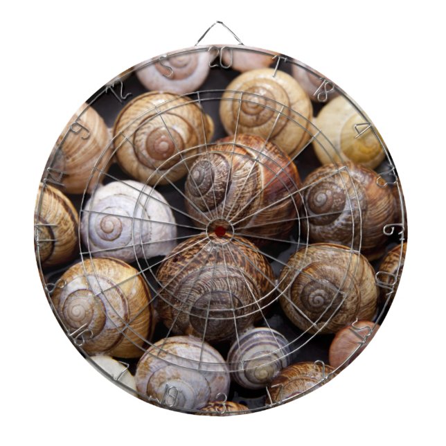 Snäckorna snigel darttavla (Framsidan)
