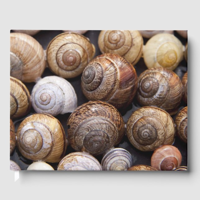 Snäckorna snigel gästböcker (Framsida)