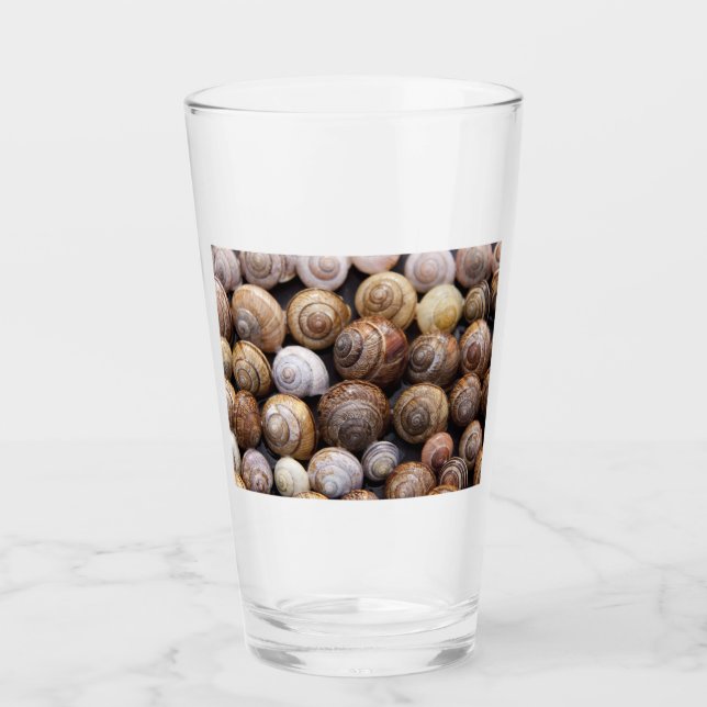 Snäckorna snigel glaskopp (Framsida)