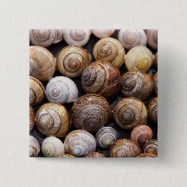 Snäckorna snigel knapp