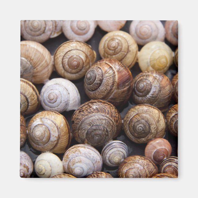 Snäckorna snigel magnet (Framsidan)