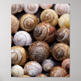 Snäckorna snigel poster