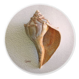 Snäckskal 2 R - knopp