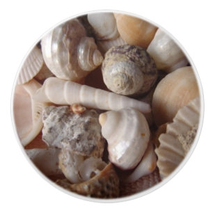 Snäckskal Cockleshells, kammusslor - brun vit Knopp