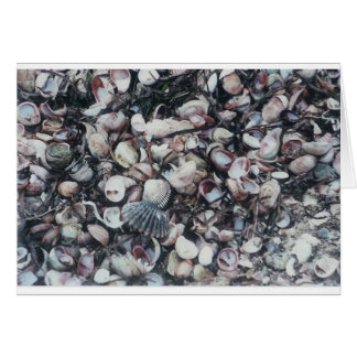 Snäckskal Hälsningskort