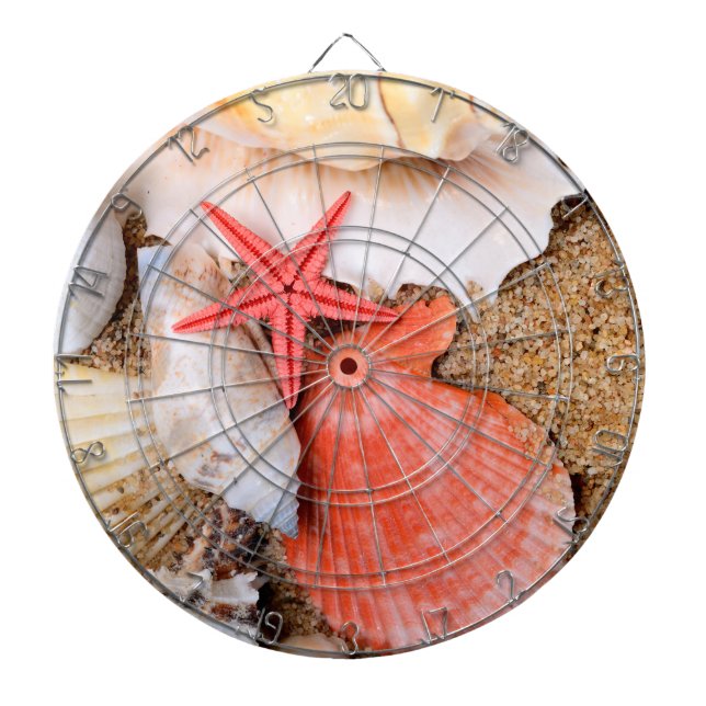 Snäckskal och sjöstjärna i Sand Piltavla (Framsidan)