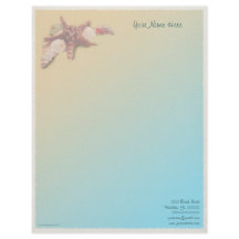 Snäckskal på en strand