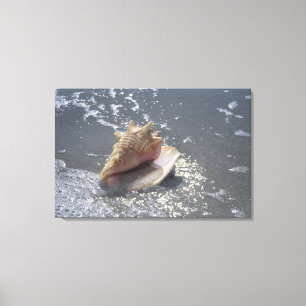 Snäckskal på ön för strand Sanibel, Florida Canvastryck