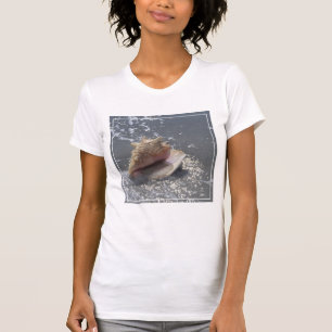 Snäckskal på ön för strand Sanibel, Florida T Shirt