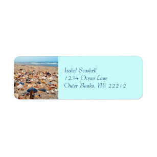 Snäckskal på strandadressetiketter returadress etikett