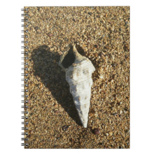 Snäckskal på stranden anteckningsbok