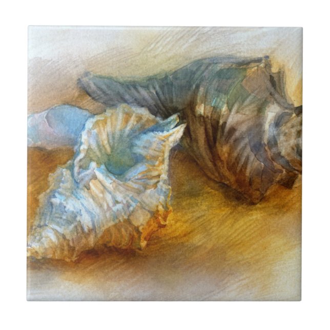Snäckskal på stranden kakelplatta (Framsidan)