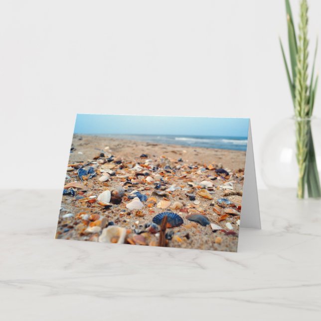 Snäckskal på strandhälsningkortet kort (Framsida)