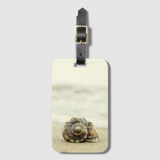Snäckskal som är ensamt på strand bagagebricka