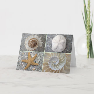 SnäckskalCollage Kort