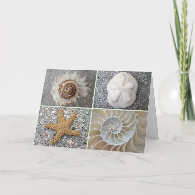 SnäckskalCollage Kort (Framsida)