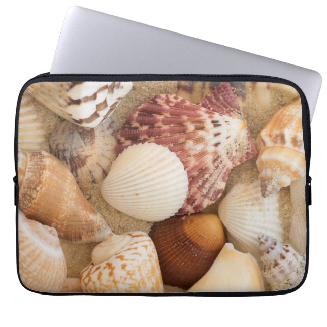 Snäckskalordning Laptop Sleeve (Framsidan)