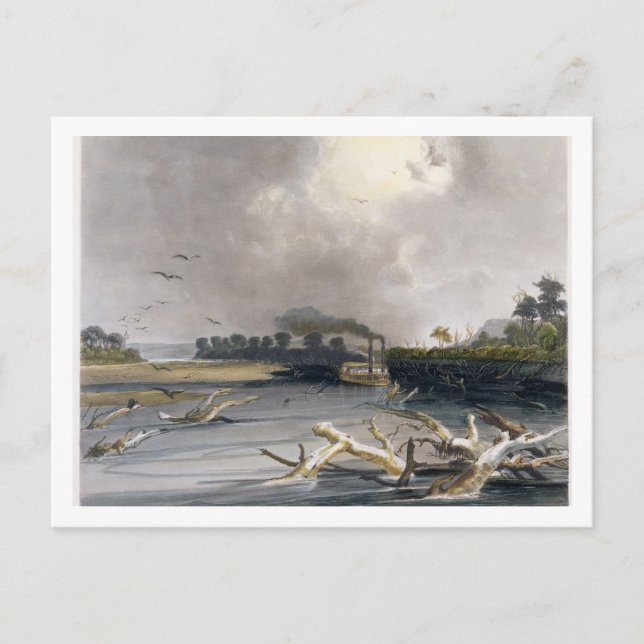 Snags (sunken träd) på Missouri, platta 6 från Vykort (Framsida)