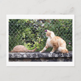 Snail Mail Katt Vykort