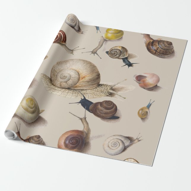 Snail Slug Garden Pet Gastropod Botanical Snails Presentpapper (Utrullad)