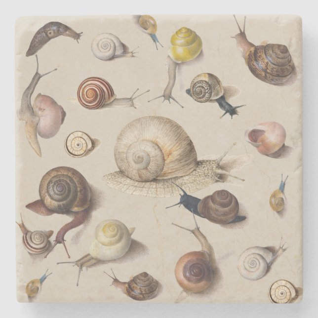 Snail Slug Garden Pet Gastropod Botanical Snails Stenunderlägg (Framsidan)