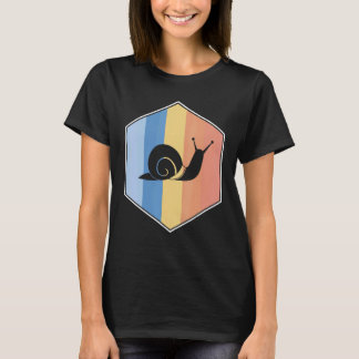 Snail With Retro Colors In A Hexagon T Shirt