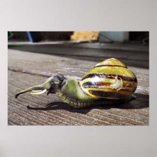 Snailephant Poster