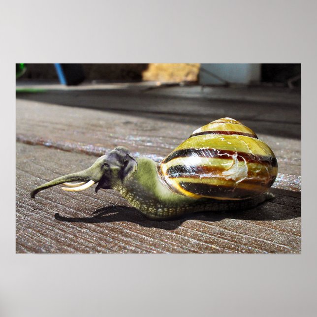 Snailephant Poster (Framsidan)