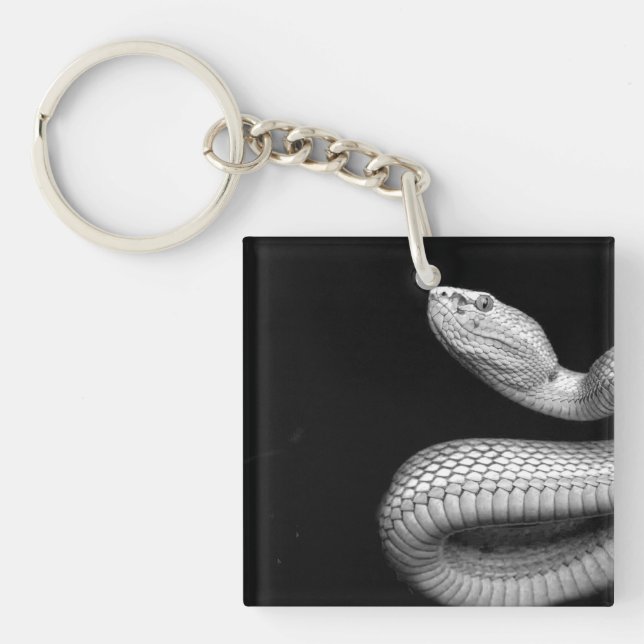 Snake (Framsidan)