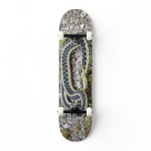 Snake 7¾-tums Skateboard