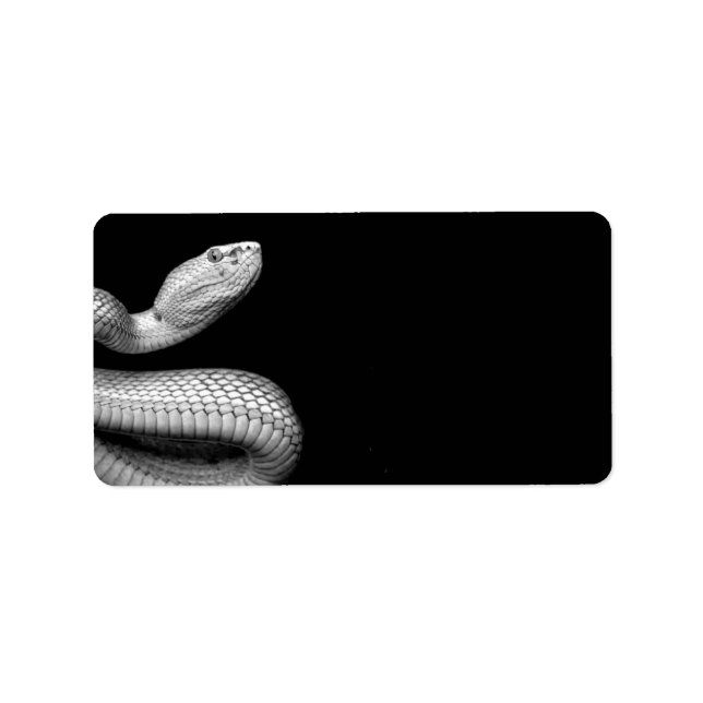 Snake Adressetikett (Framsidan)