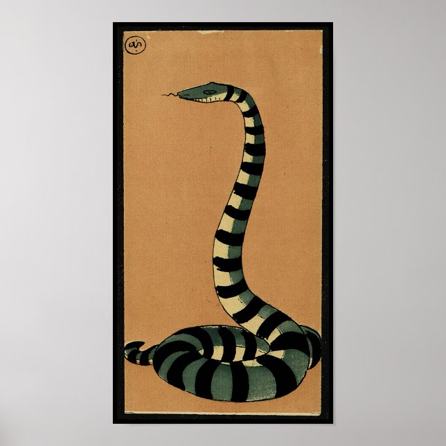 Snake - Antiquarian, Colorful Bok Illustration Poster (Framsidan)