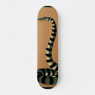 Snake - Antiquarian, Colorful Bok Illustration Skateboard Bräda 21,5 Cm