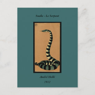 Snake - Antiquarian, Colorful Bok Illustration Vykort