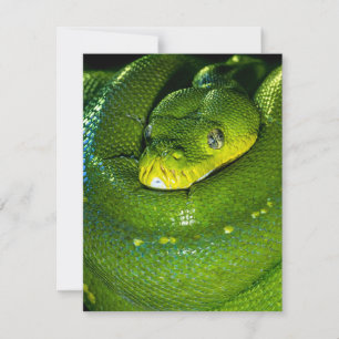 Snake Birthday Card Grattis på födelsedagen Snake