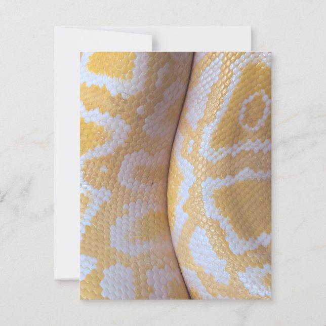 Snake Birthday Card Grattis på födelsedagen Snake (Framsida)