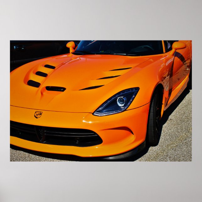 Snake Bitten Poster (Framsidan)