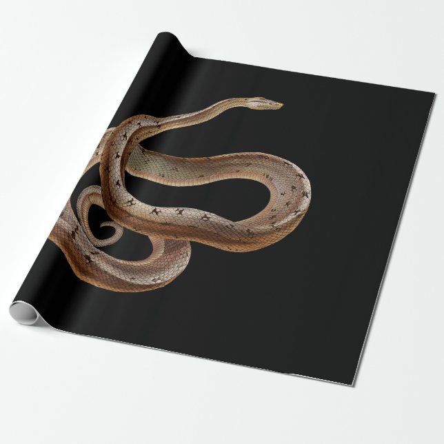 Snake - Black - Animal - Presentpapper (Utrullad)