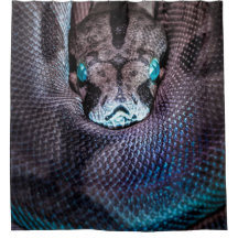 Snake boa anaconda python reptilsnakeskin