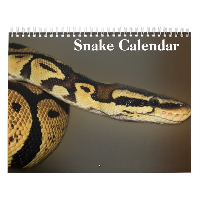 Snake Calendar 2025 Kalender (Omslag)