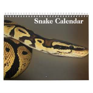 Snake Calendar 2025 Kalender