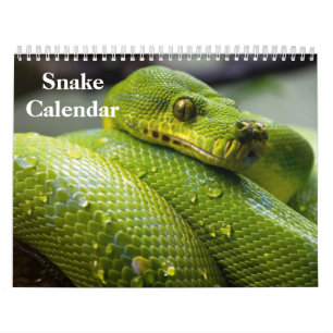 Snake Calendar 2025 Kalender