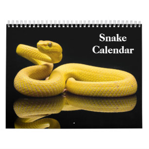 Snake Calendar 2026 Kalender