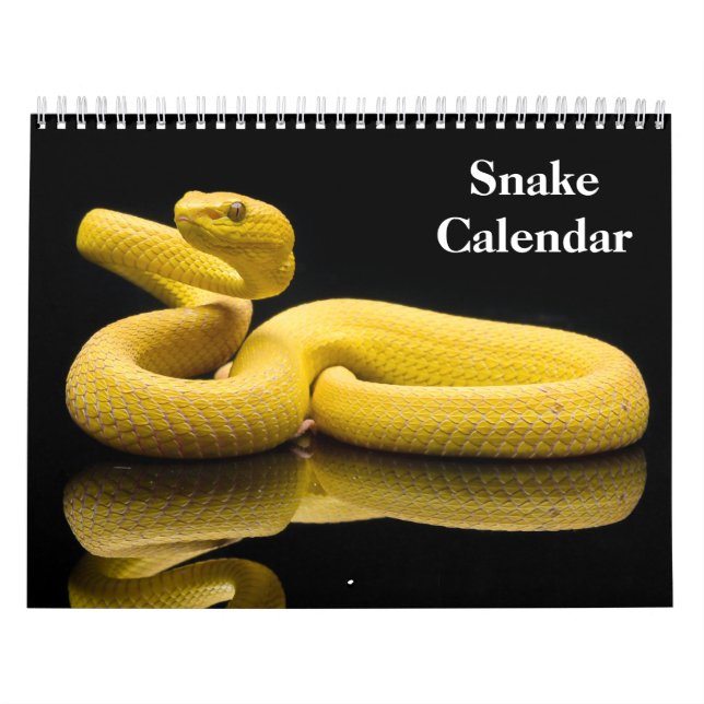 Snake Calendar 2026 Kalender (Omslag)