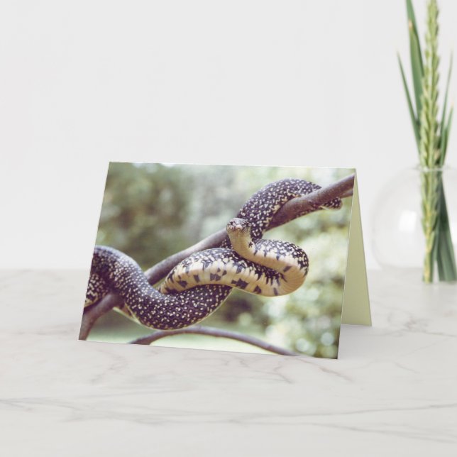 Snake Card för kung Kort (Framsida)